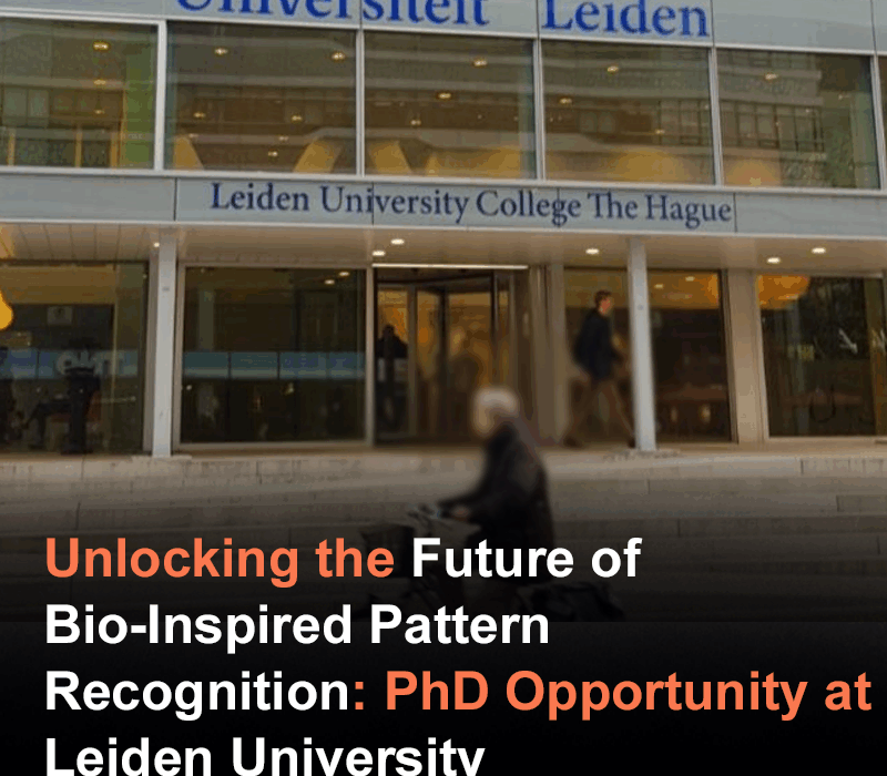 Unlocking the Future of Bio-Inspired Pattern Recognition: PhD Opportunity at Leiden University